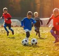 蓉城力争创,造队史顶级,赛事奖杯,BBIN真人试玩,BBIN真人游戏平台,BBIN真人视讯,BBIN真人官网