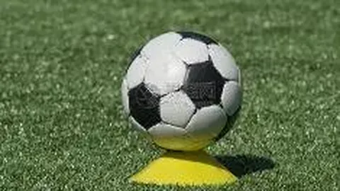 BBIN真人试玩 产品 094808 981