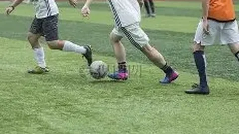 江门税务打造“税路通·粤通四海”跨境服务品牌，助力企业扬帆“一带一路”