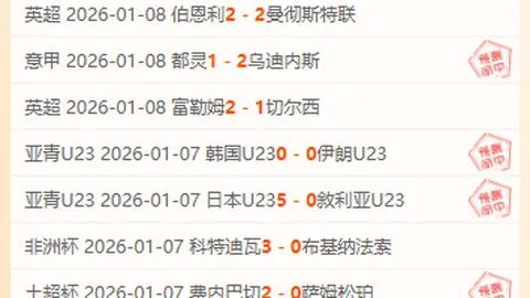 中国冰壶混双队晋级亚冬会半决赛2025-02-07